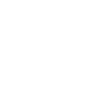 The Ice Cream