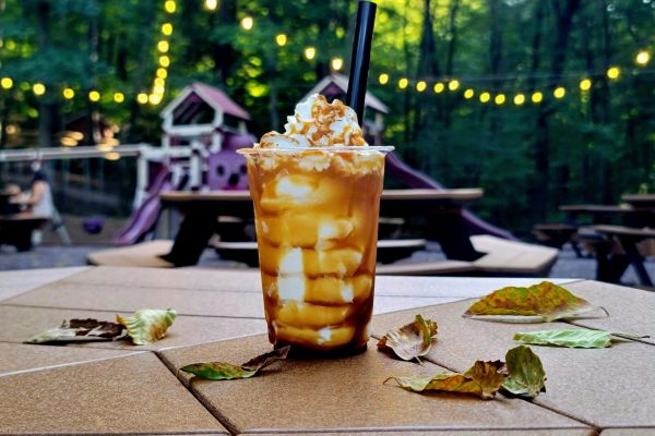 Apple Cider Float